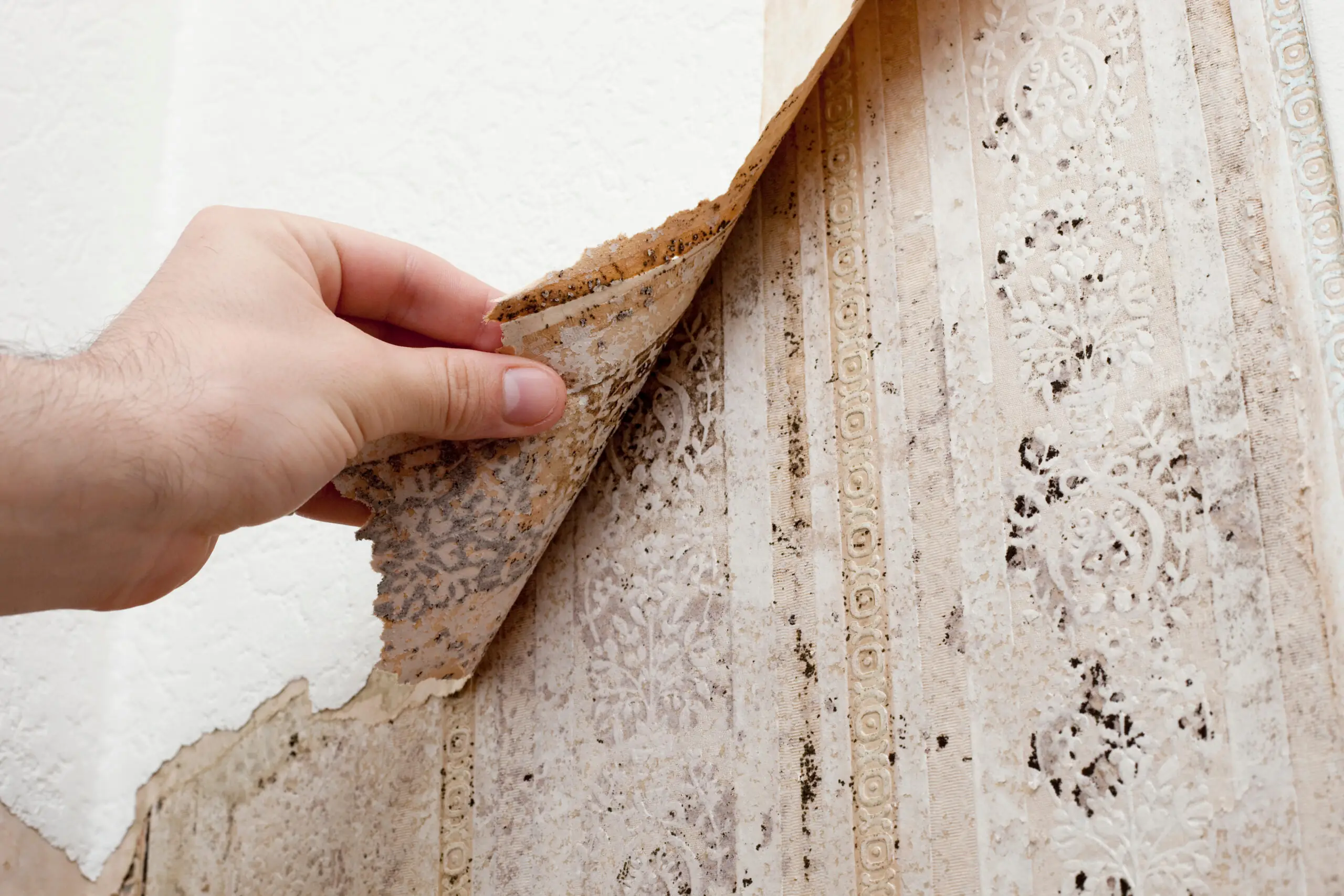 A wall with visible water damage.