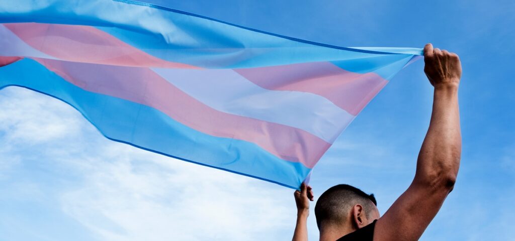 Someone holds up a trans pride flag over their head.