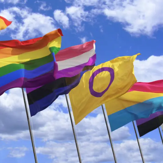 A variety of LGBTQ+ pride flags fly on a row of flagpoles.