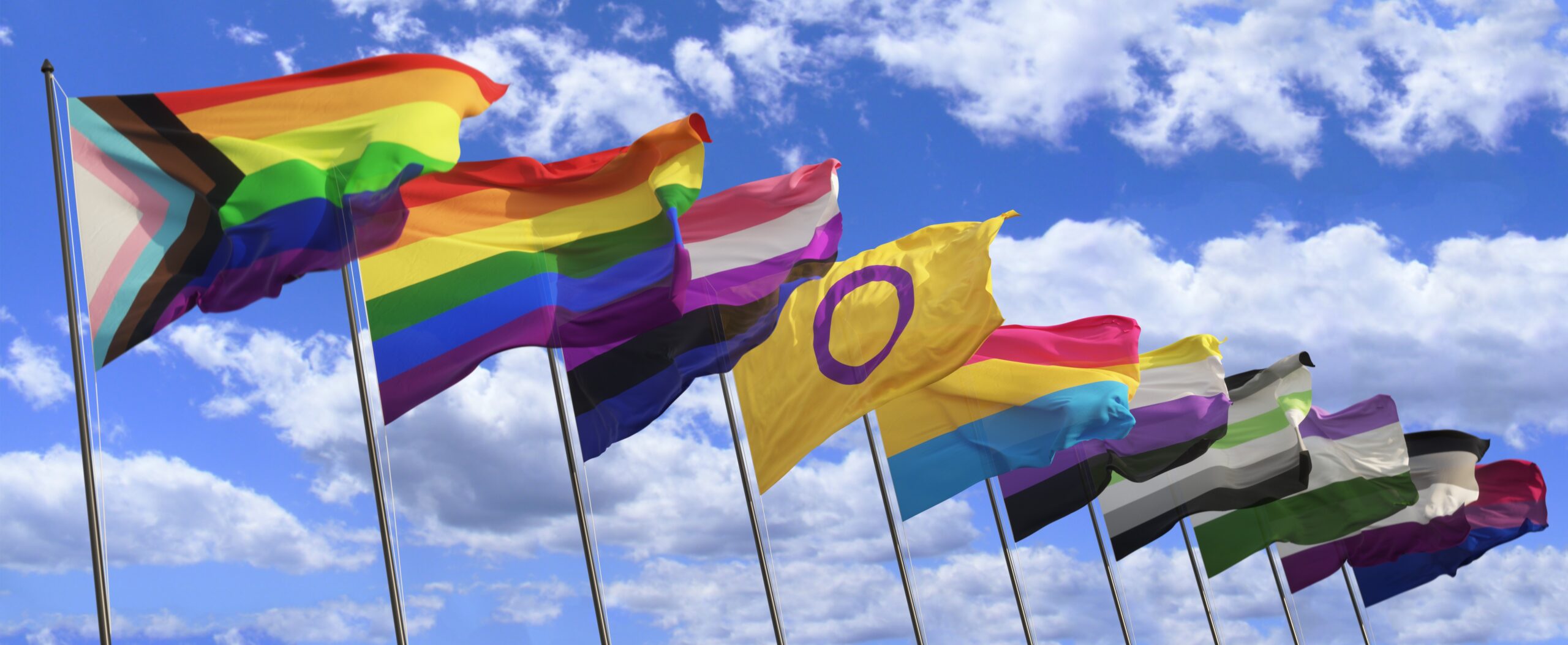 A variety of LGBTQ+ pride flags fly on a row of flagpoles.