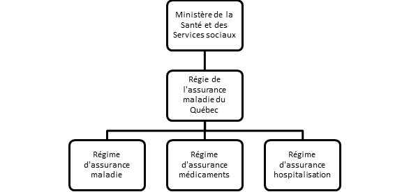 Schéma montrant le lien entre le Ministère de la Santé et des Services sociaux et la Régie de l’assurance maladie du Québec, puis entre la RAMQ et les régimes publics d’assurance maladie, d’assurance médicaments et d’assurance hospitalisation.