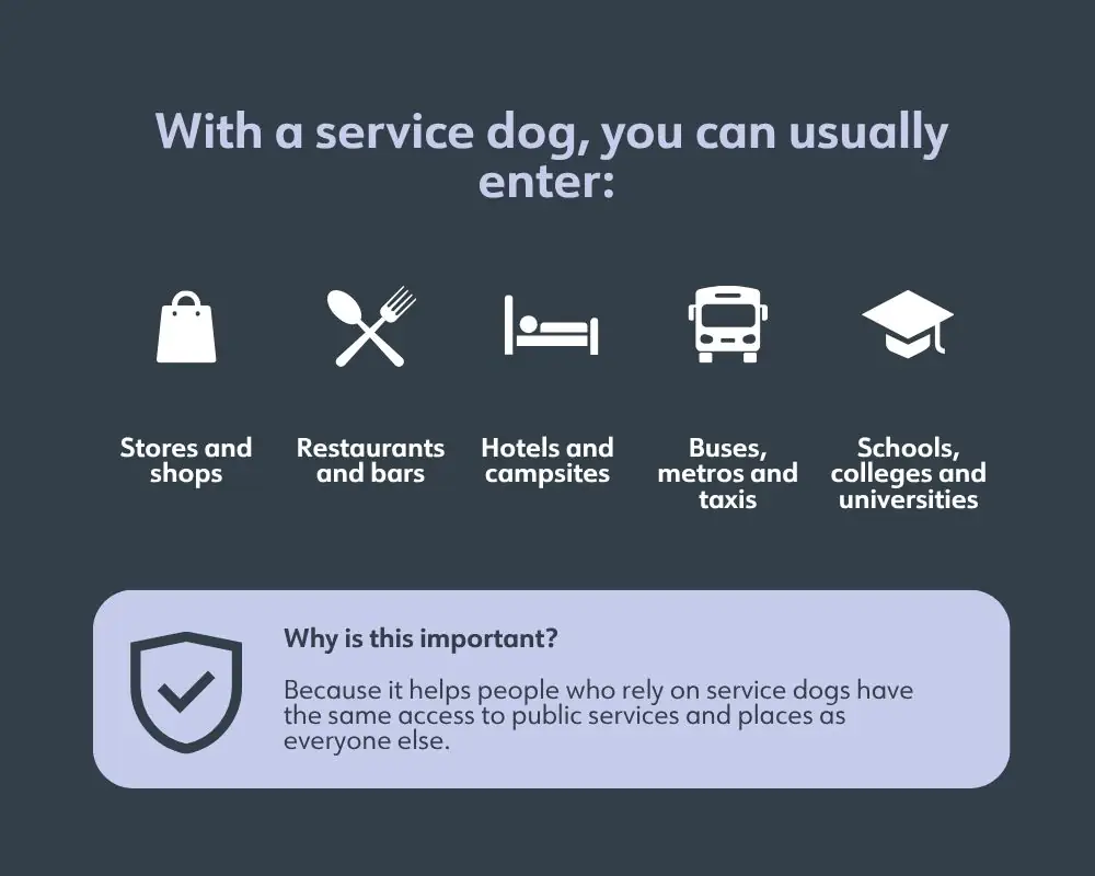 With a service dog, you can enter: shops, restaurants, hotel, buses and schools.