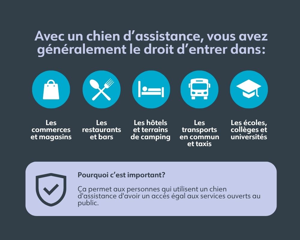Avec un chien d'assistance, vous pouvez rentrer dans les commerces, les restaurants, les hôtels, les transports en commun et les écoles